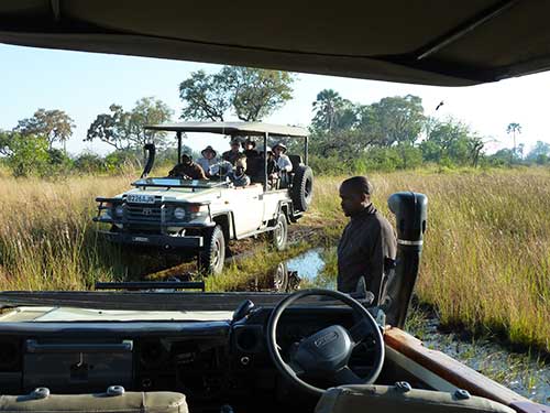 Safari 4x4 safari en Afrique