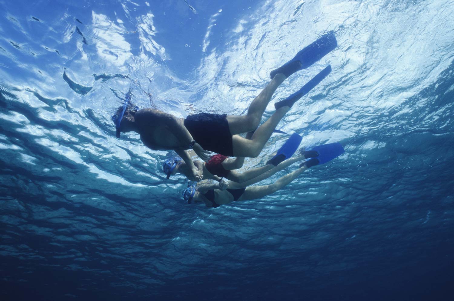 Image de l'article : Partez en groupe pour une croisière snorkeling aux Maldives - Esprit Pionnier
