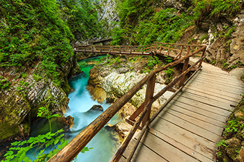 Slovénie gorges de Vintgar